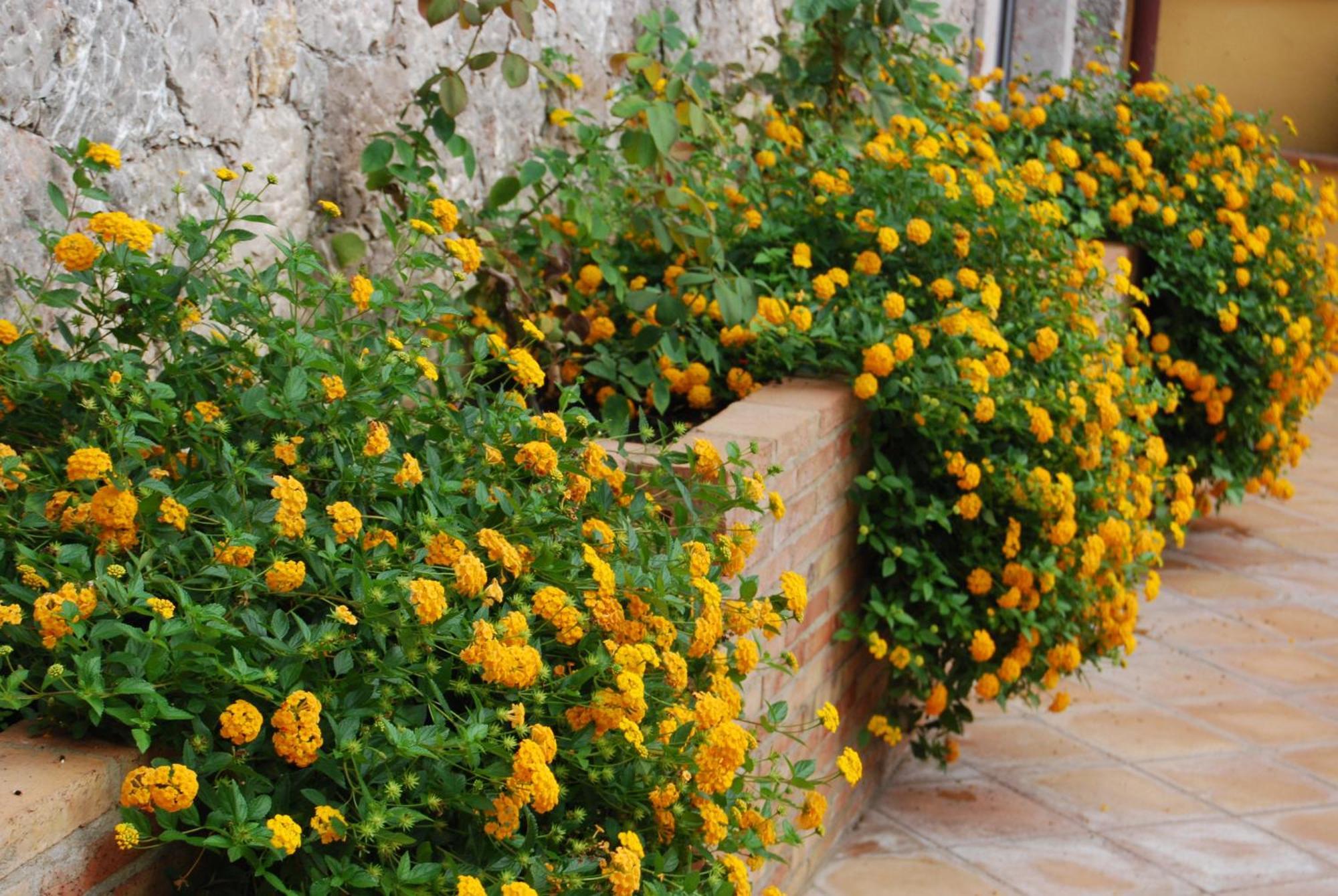 Villa Angela Taormina Luaran gambar