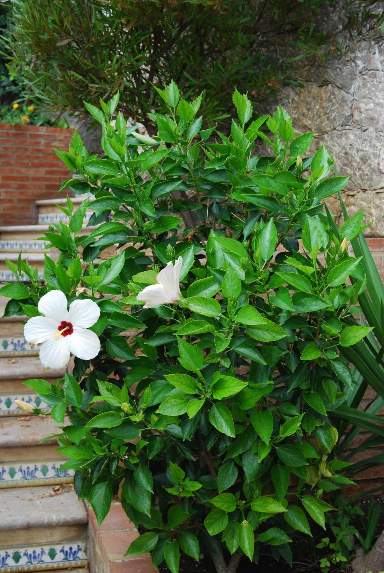 Villa Angela Taormina Luaran gambar